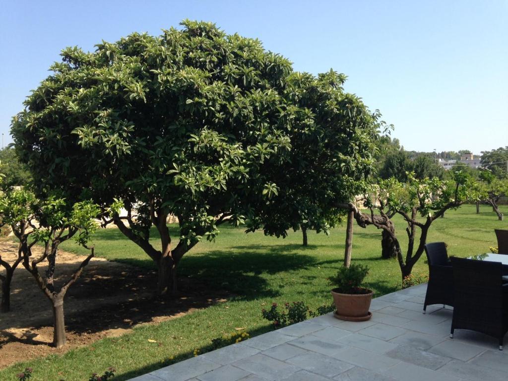 Masseria Carignani Тулье Экстерьер фото