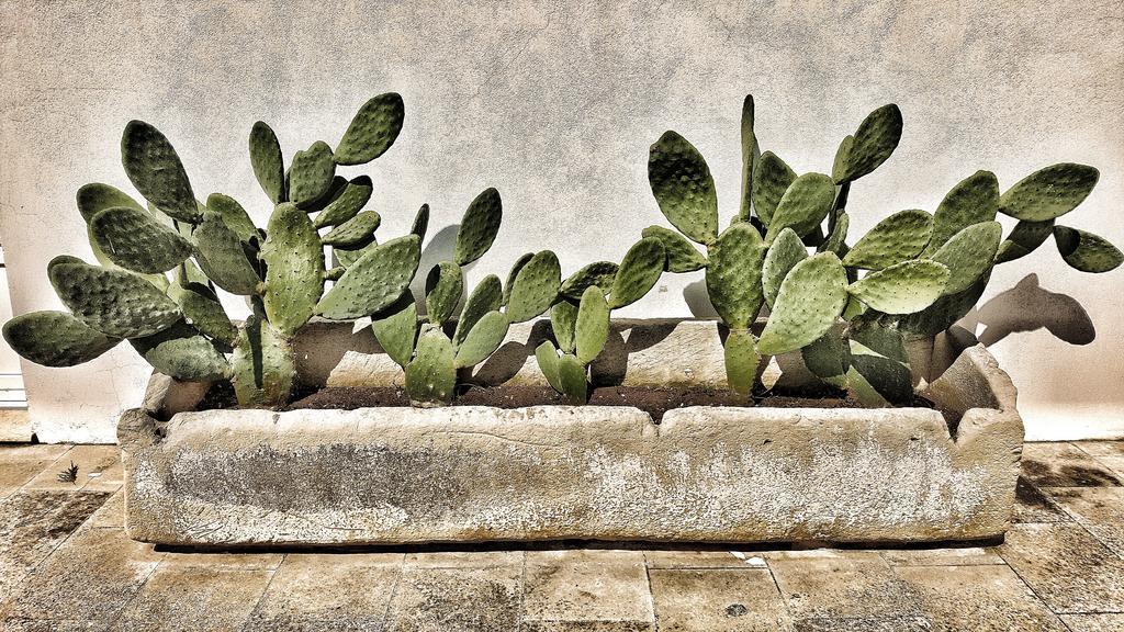 Masseria Carignani Тулье Экстерьер фото